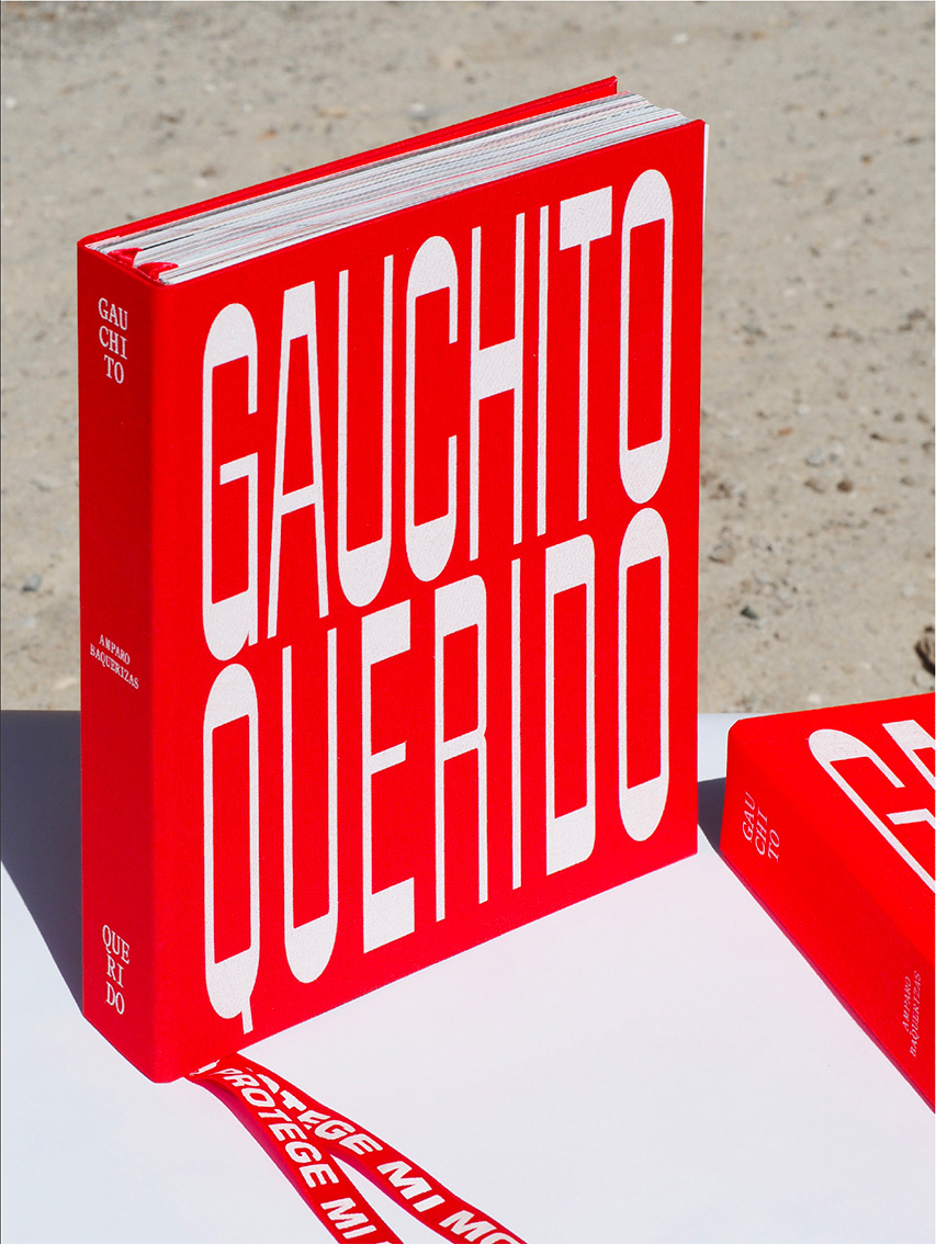 querido-gauchito querido-gauchito