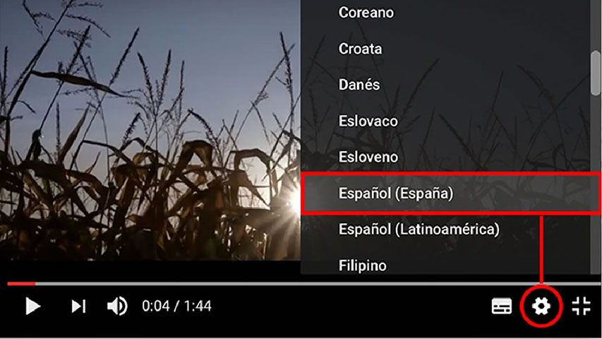 subtítulos youtube
