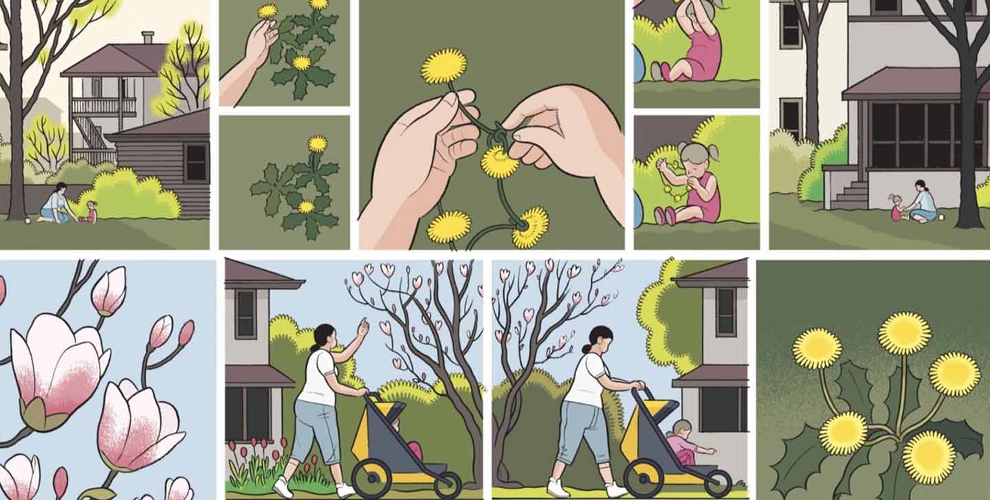 CHRIS WARE