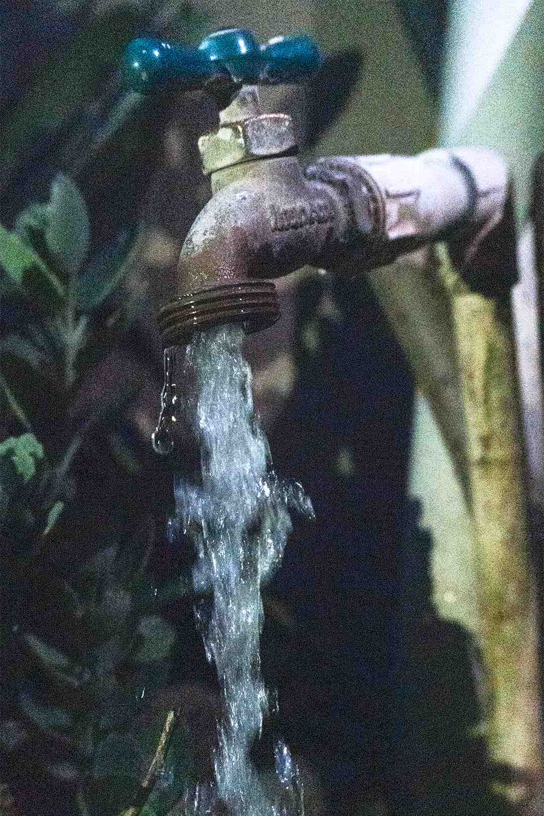Fotografía Raquel Zamora