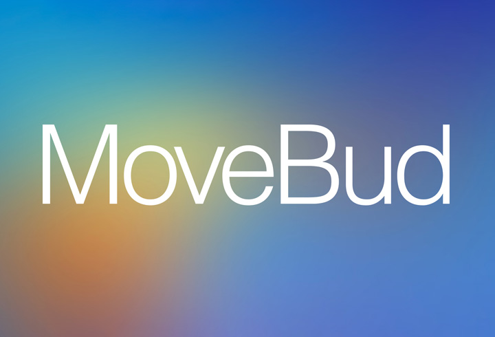 Proyecto MOVEBUD