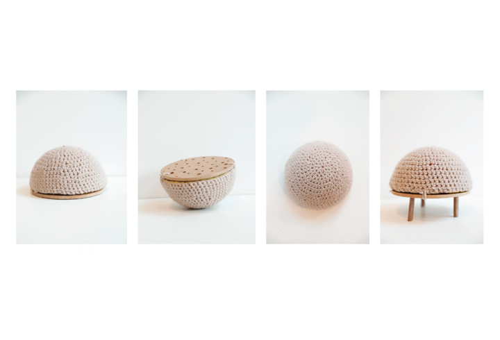 Bloom proyecto SHIFTA
