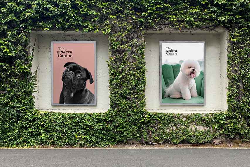 The Modern Canine_Posters Posters para The Modern Canine