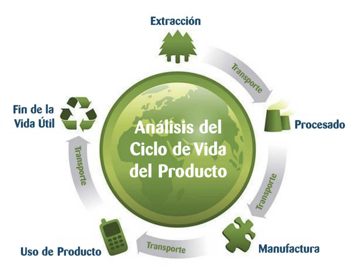ciclo vida ciclo vida