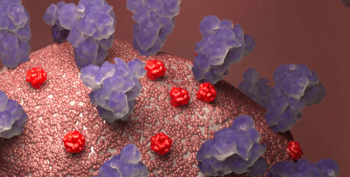 coronavirus