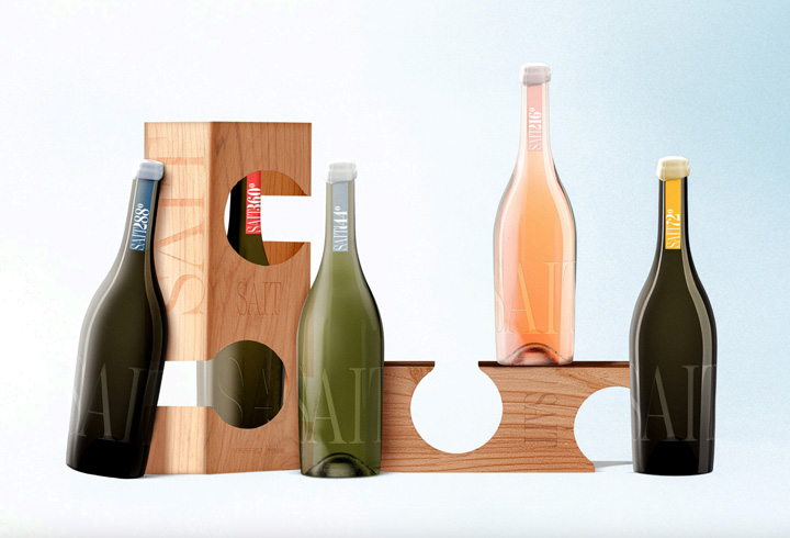 proyecto packaging sait