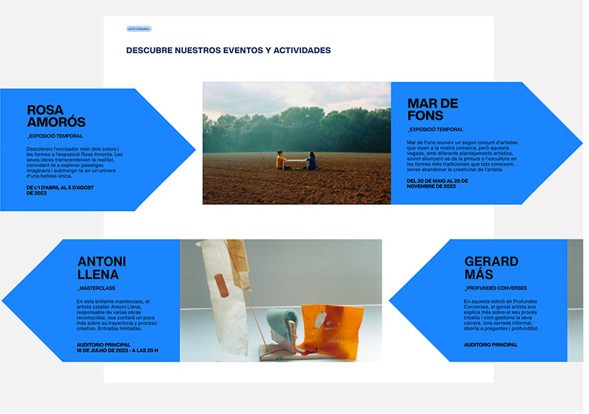 website fundacio vila casas